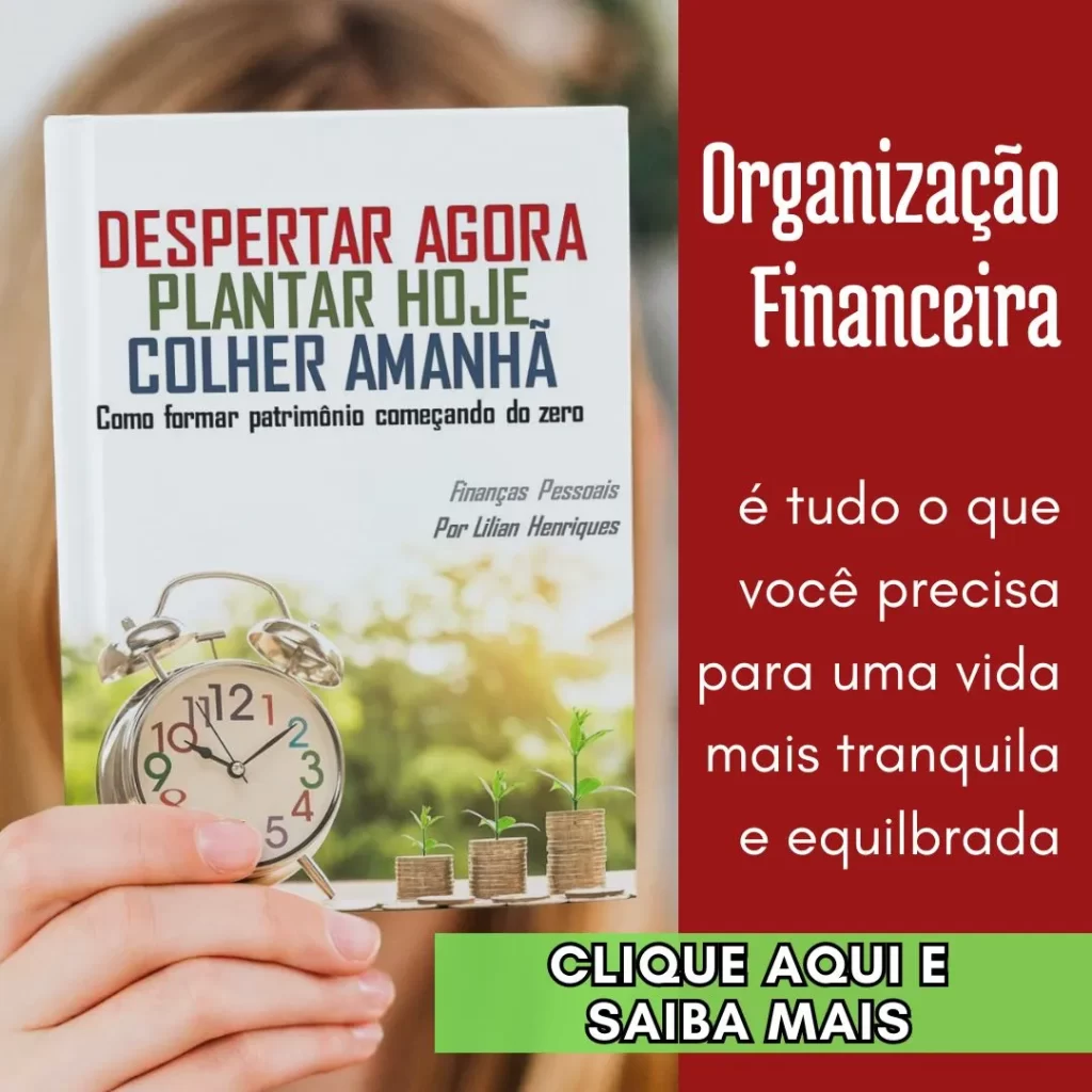 Organização Financeira E-book